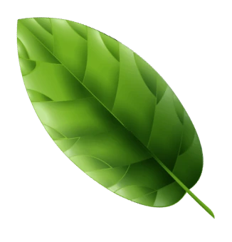 Alpine Leaf