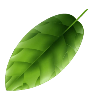 Alpine Leaf